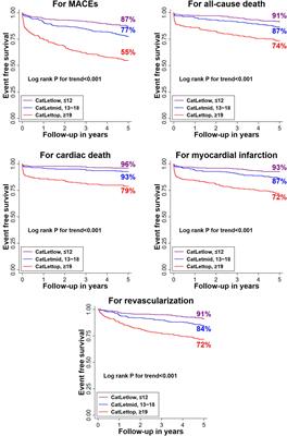 The predictive value of CatLet© angiographic scoring system for long-term prognosis in patients with acute myocardial infarction presenting > 12 h after symptom onset